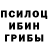 Псилоцибиновые грибы Magic Shrooms Argentum Sov