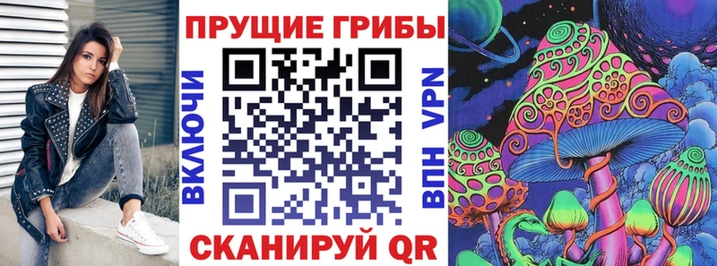 Галлюциногенные грибы Cubensis  Черкесск 