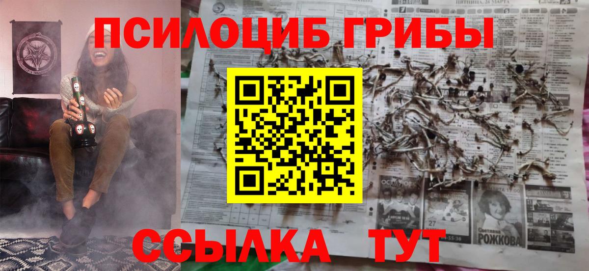Галлюциногенные грибы Cubensis  Вход с VPN  Черкесск  Галлюциногенные грибы прущие грибы 